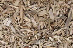 biomass boilers Monkhide